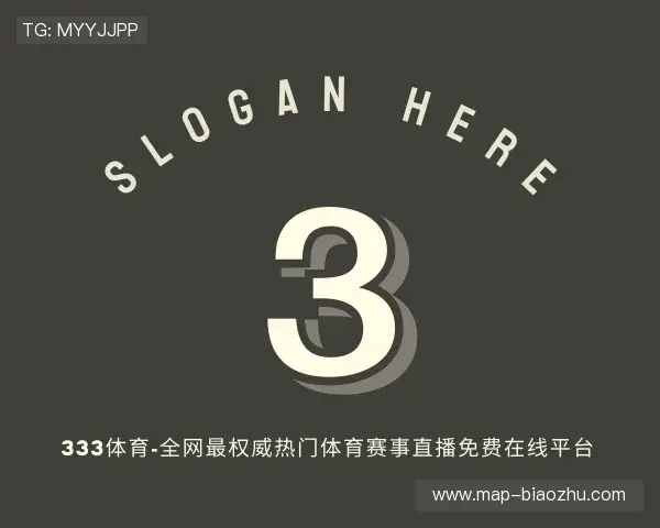 介绍333体育